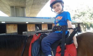 Donación Arnés Anticaída para Asociación Equitación como Terapia