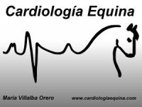María Villalba – Cardiología Equina