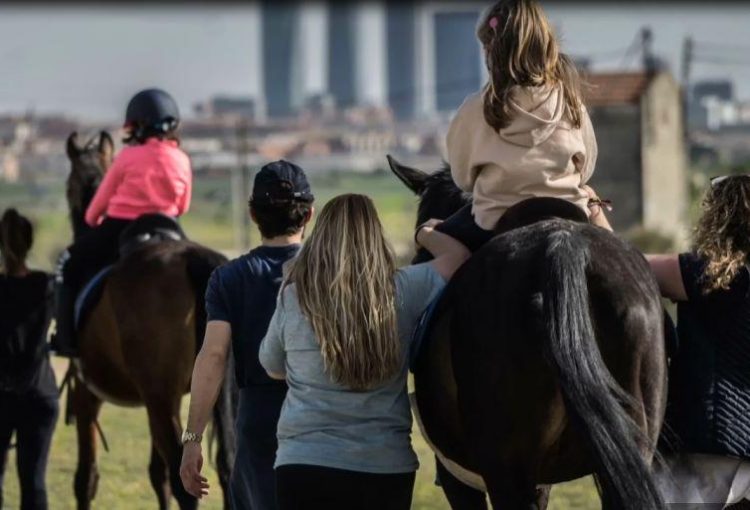 Rampa de Acceso al Caballo – Asociación Equitación como Terapia