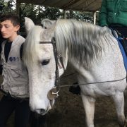 Escuela de Equitación Adaptada – Federación Navarra de Deportes Adaptados
