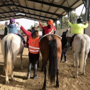 Estudio sobre el Índice de Satisfacción de un programa de Equitación Terapéutica en personas con Autismo – Asociación EquiTEA